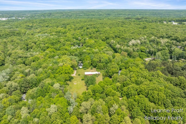 13814 28th St, Lowell, MI 49331 - drone / aerial view of a forest