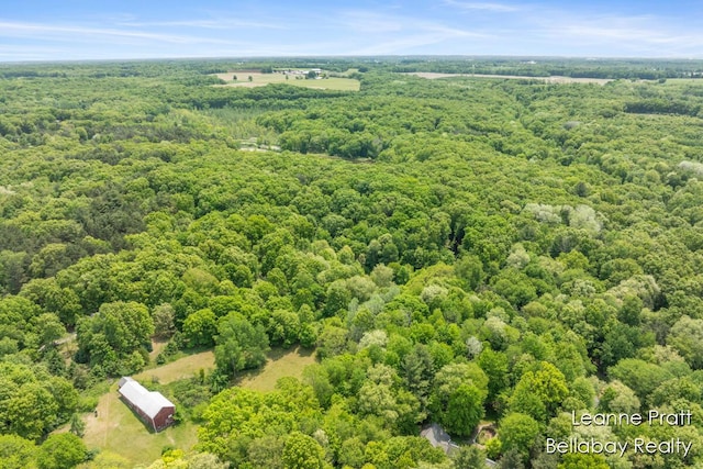 13814 28th St, Lowell, MI 49331 - drone / aerial view of a forest