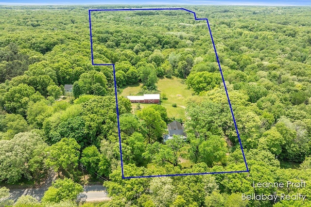 13814 28th St, Lowell, MI 49331 - aerial overview of property's location with a heavily wooded area and property boundaries highlighted