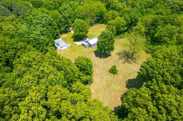 9303 W H Ave, Kalamazoo, MI 49009 - aerial view of a forest