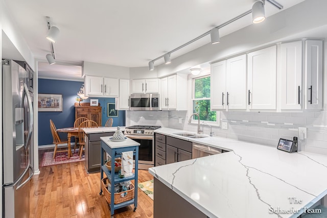 493 Edgeworthe Dr SE, Ada, MI 49301 - kitchen with stainless steel appliances, rail lighting, a sink, a peninsula, and white cabinets