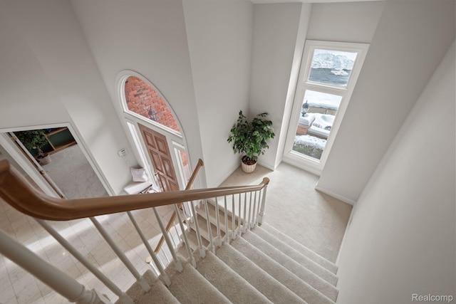 2729 Glenbrooke Ct, Bloomfield Hills, MI 48302 - stairs featuring a towering ceiling, carpet flooring, and baseboards