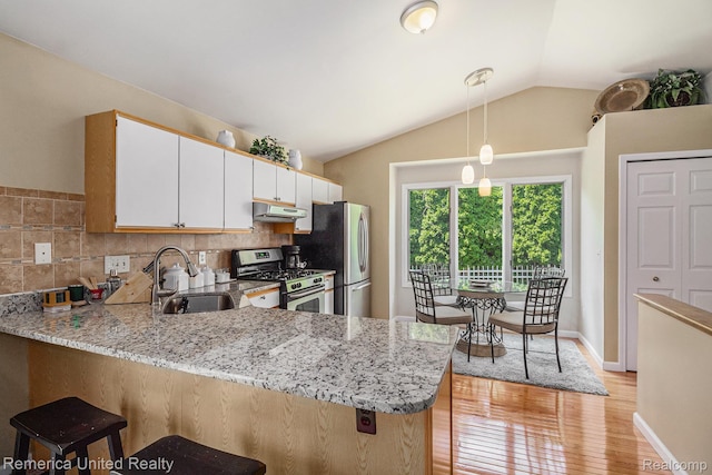 2458 Oseola Ave, Howell, MI 48843 - kitchen with stainless steel appliances, a sink, light wood-style flooring, lofted ceiling, and a peninsula