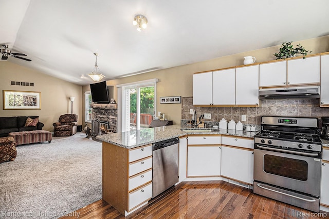 2458 Oseola Ave, Howell, MI 48843 - kitchen with stainless steel appliances, under cabinet range hood, a peninsula, a sink, and open floor plan