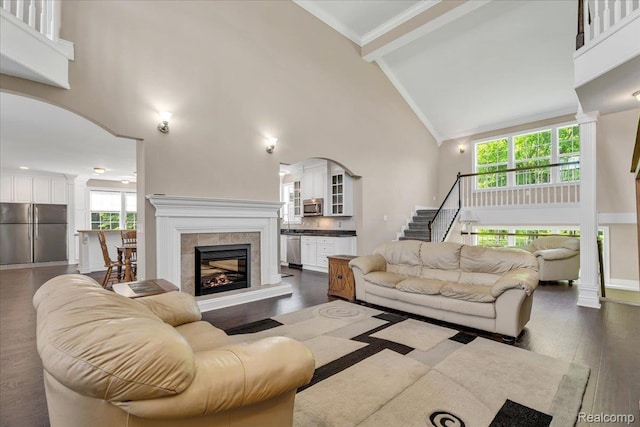 10726 Davisburg Rd, Davisburg, MI 48350 - living area featuring high vaulted ceiling, dark wood-type flooring, arched walkways, a fireplace, and healthy amount of natural light