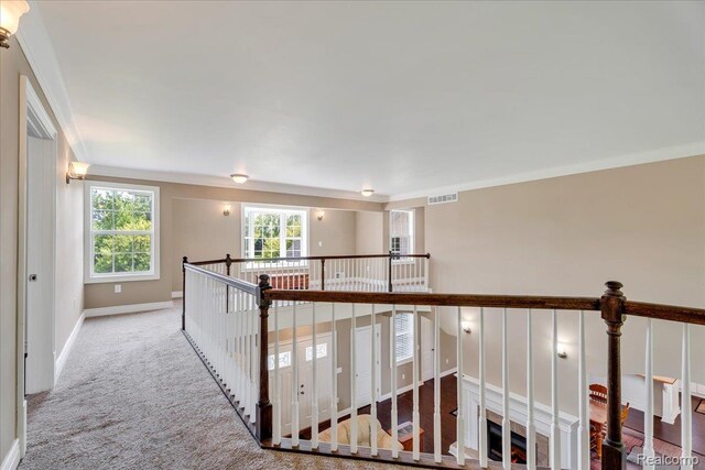 10726 Davisburg Rd, Davisburg, MI 48350 - corridor featuring healthy amount of natural light, baseboards, carpet flooring, and an upstairs landing