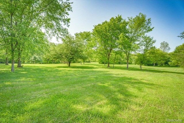 10726 Davisburg Rd, Davisburg, MI 48350 - view of green lawn
