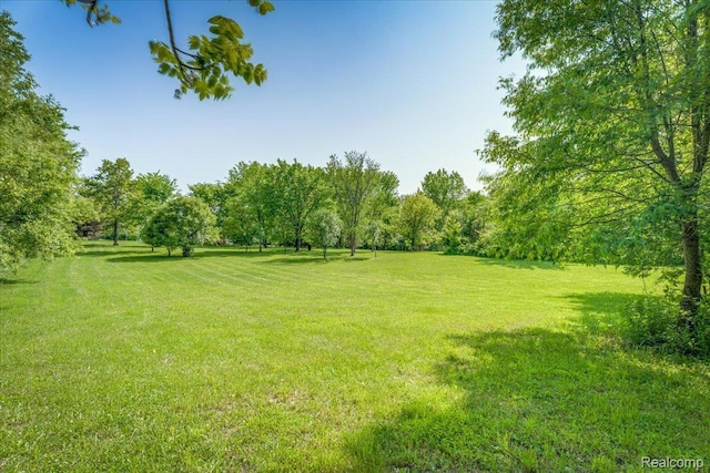 10726 Davisburg Rd, Davisburg, MI 48350 - view of green lawn