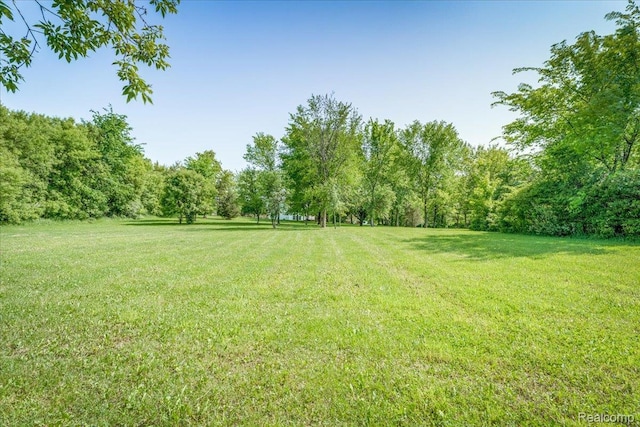 10726 Davisburg Rd, Davisburg, MI 48350 - view of grassy yard with a view of trees