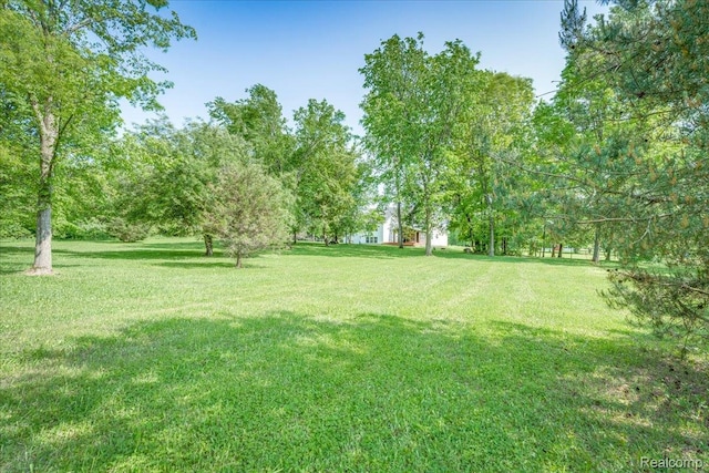 10726 Davisburg Rd, Davisburg, MI 48350 - view of green lawn
