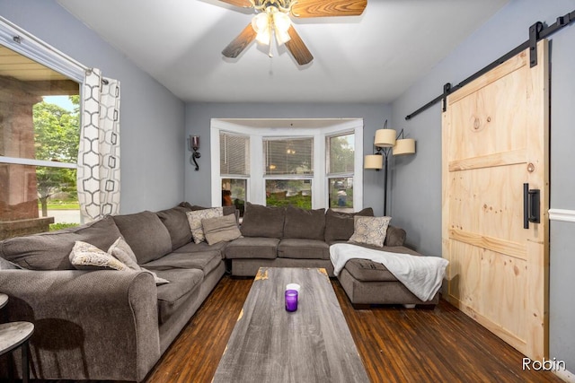 1032 White Ave NW, Grand Rapids, MI 49504 - living room with a barn door, dark wood-style floors, and plenty of natural light