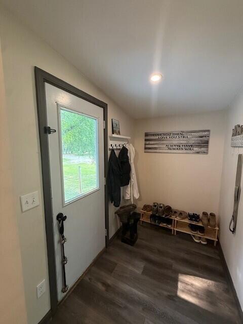 17912 130th Ave, Nunica, MI 49448 - mudroom featuring dark wood-style flooring, baseboards, and recessed lighting