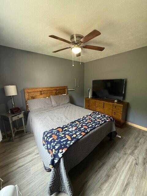 17912 130th Ave, Nunica, MI 49448 - bedroom featuring light wood-style flooring, baseboards, and a ceiling fan
