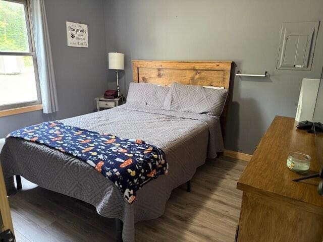 17912 130th Ave, Nunica, MI 49448 - bedroom with wood finished floors and baseboards