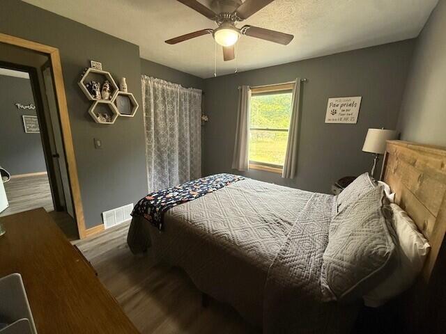 17912 130th Ave, Nunica, MI 49448 - bedroom with wood finished floors, baseboards, and ceiling fan