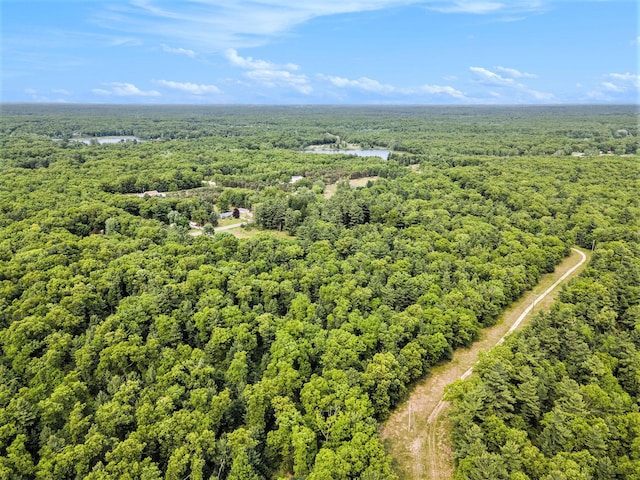 3765 Ryerson Rd, Twin Lake, MI 49457 - drone / aerial view of a forest