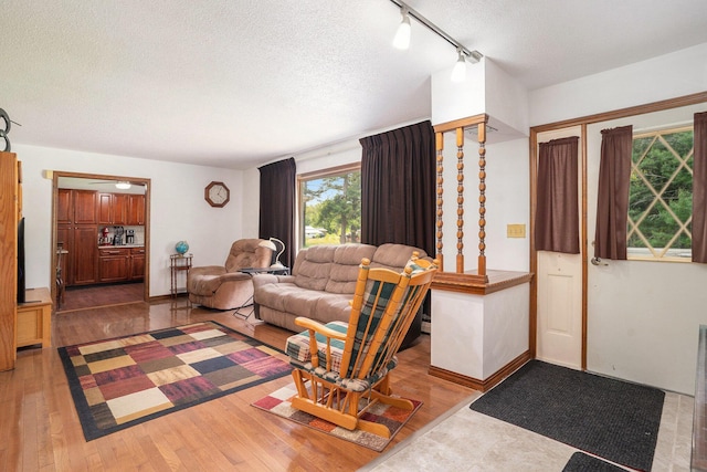 3765 Ryerson Rd, Twin Lake, MI 49457 - living room featuring a textured ceiling, light wood-type flooring, and track lighting