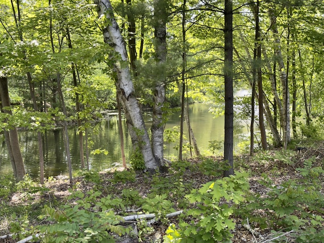 14716 Arcadia Woods Dr, Spring Lake, MI 49456 - photo 3