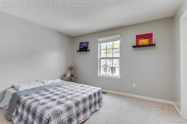 59625 Twin Pines Dr, New Hudson, MI 48165 - bedroom featuring baseboards and carpet flooring