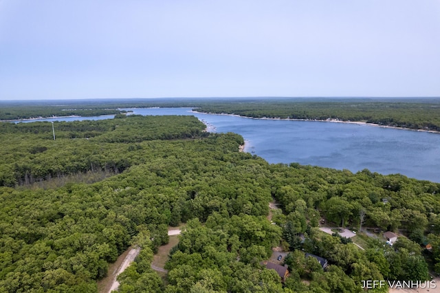 15021 S Star Lake Dr, Baldwin, MI 49304 - bird's eye view of a forest and a nearby body of water