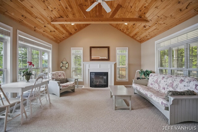 15021 S Star Lake Dr, Baldwin, MI 49304 - carpeted living room with plenty of natural light, wood ceiling, a glass covered fireplace, and a ceiling fan