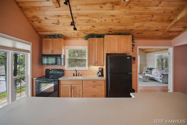 15021 S Star Lake Dr, Baldwin, MI 49304 - kitchen with black appliances, wooden ceiling, a sink, and plenty of natural light