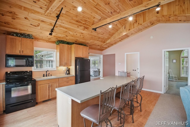 15021 S Star Lake Dr, Baldwin, MI 49304 - kitchen featuring track lighting, black appliances, wooden ceiling, a sink, and lofted ceiling