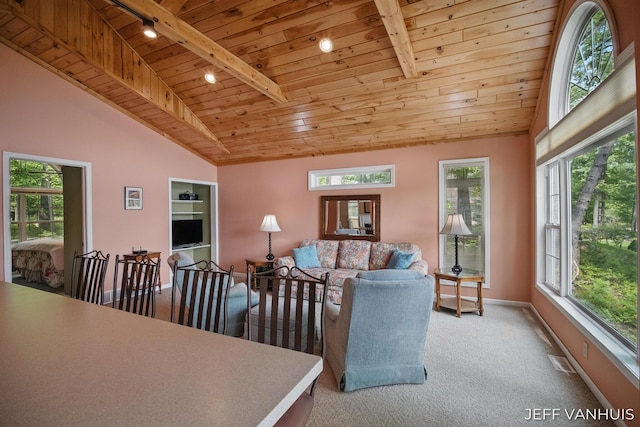 15021 S Star Lake Dr, Baldwin, MI 49304 - living area with wood ceiling, carpet floors, baseboards, healthy amount of natural light, and track lighting