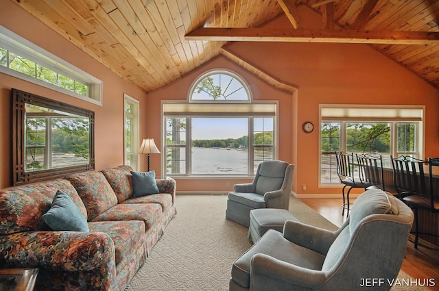 15021 S Star Lake Dr, Baldwin, MI 49304 - living room featuring wood ceiling, a water view, baseboards, and wood finished floors