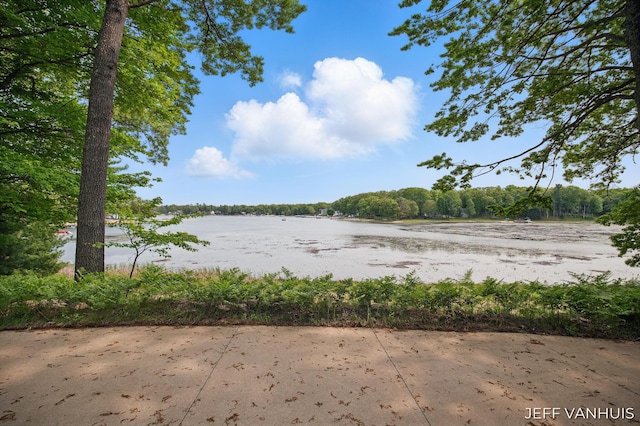 15021 S Star Lake Dr, Baldwin, MI 49304 - water view with a heavily wooded area