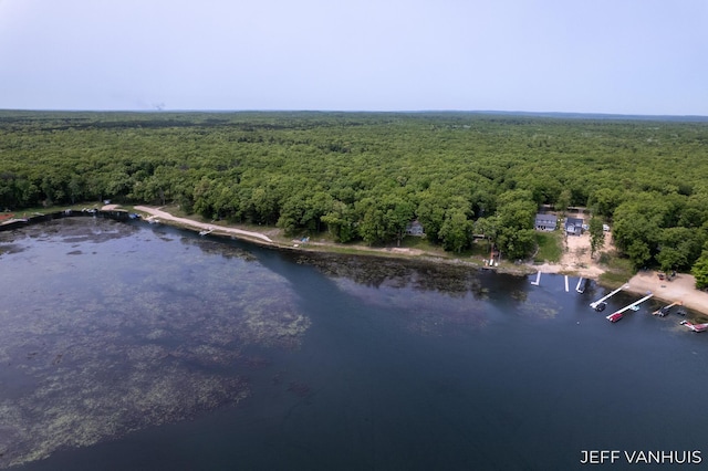 15021 S Star Lake Dr, Baldwin, MI 49304 - bird's eye view of a forest and a large body of water