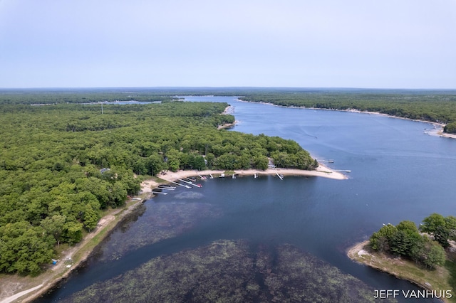 15021 S Star Lake Dr, Baldwin, MI 49304 - drone / aerial view of a forest and a large body of water