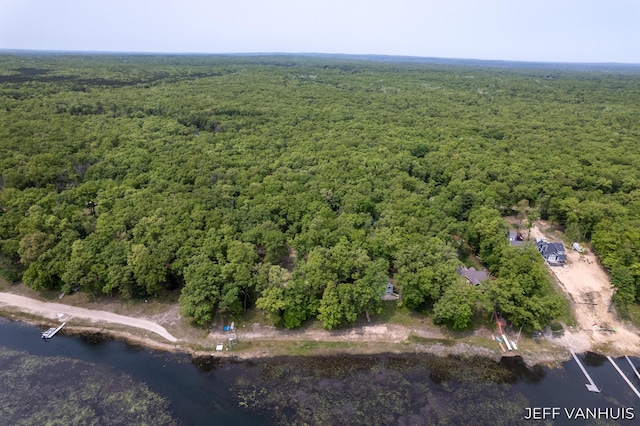 15021 S Star Lake Dr, Baldwin, MI 49304 - aerial overview of property's location with a forest and a nearby body of water