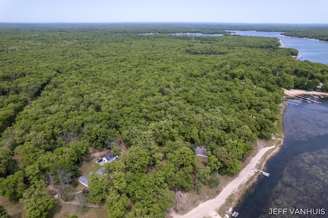 15021 S Star Lake Dr, Baldwin, MI 49304 - aerial view of a heavily wooded area and a nearby body of water