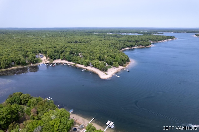 15021 S Star Lake Dr, Baldwin, MI 49304 - aerial view of a heavily wooded area and a large body of water