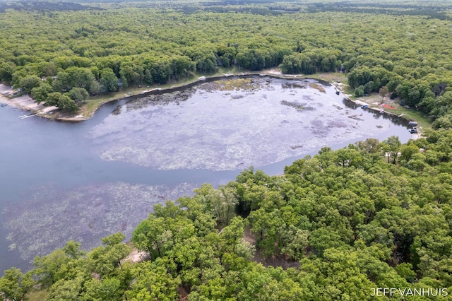 15021 S Star Lake Dr, Baldwin, MI 49304 - bird's eye view of a forest and a large body of water