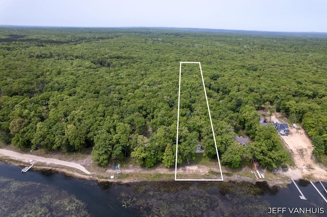 15021 S Star Lake Dr, Baldwin, MI 49304 - aerial view of property and surrounding area with a forest, property boundaries highlighted, and a nearby body of water