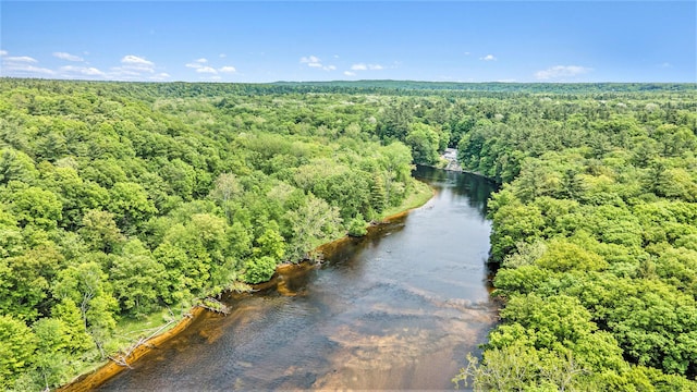 3274 E Rivers Edge, Newaygo, MI 49337 - aerial overview of property's location with a forest and a large body of water