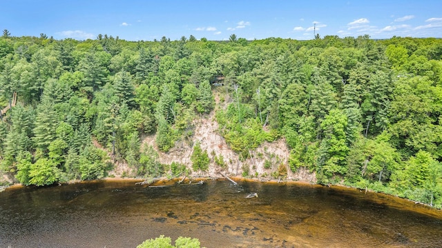 3274 E Rivers Edge, Newaygo, MI 49337 - aerial view of property's location with a forest