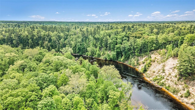 3274 E Rivers Edge, Newaygo, MI 49337 - aerial view of a forest