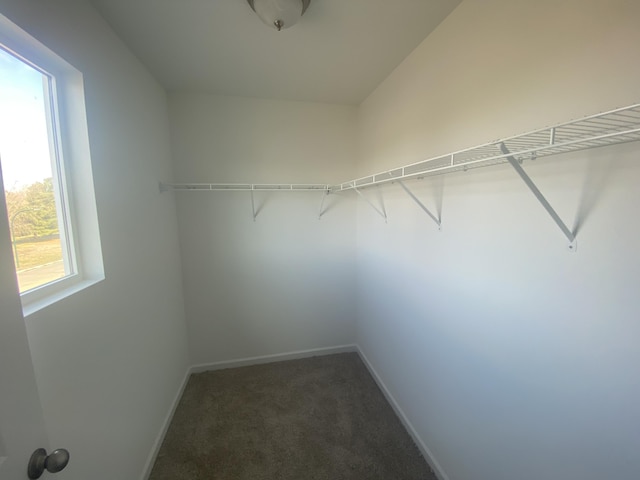 1050 Rebecca St Unit 18, Marshall, MI 49068 - walk in closet featuring dark colored carpet