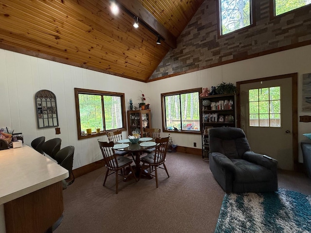 12480 Lone Wolf Trl, Canadian Lakes, MI 49346 - carpeted dining space featuring rail lighting, high vaulted ceiling, wood ceiling, and baseboards