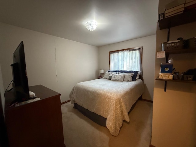 12480 Lone Wolf Trl, Canadian Lakes, MI 49346 - view of carpeted bedroom