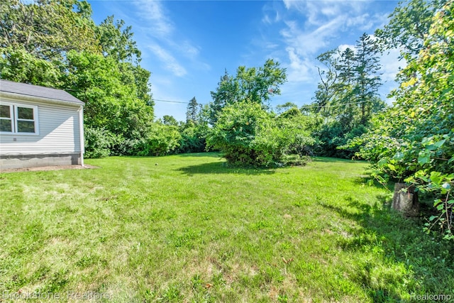 20930 Stahelin Rd, Southfield, MI 48075 - view of green lawn