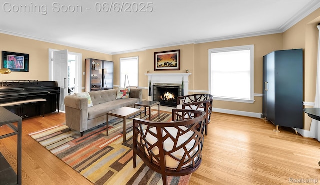828 Westchester Rd, Grosse Pointe Park, MI 48230 - living room with light wood-style flooring, a high end fireplace, crown molding, and baseboards