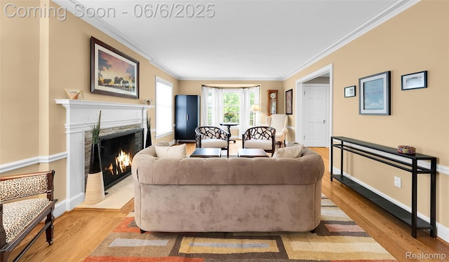 828 Westchester Rd, Grosse Pointe Park, MI 48230 - living room featuring light wood finished floors, ornamental molding, a fireplace, and baseboards