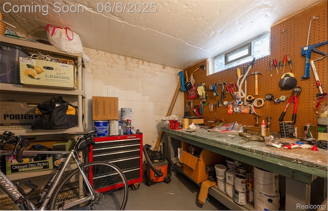 828 Westchester Rd, Grosse Pointe Park, MI 48230 - view of storage area