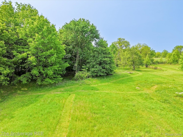 11305 Cook Rd, Gaines, MI 48436 - view of yard