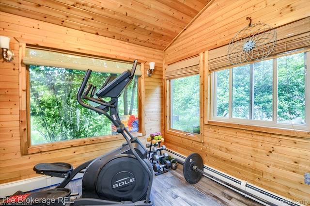 11305 Cook Rd, Gaines, MI 48436 - workout area featuring vaulted ceiling, wooden walls, wooden ceiling, wood finished floors, and a baseboard radiator