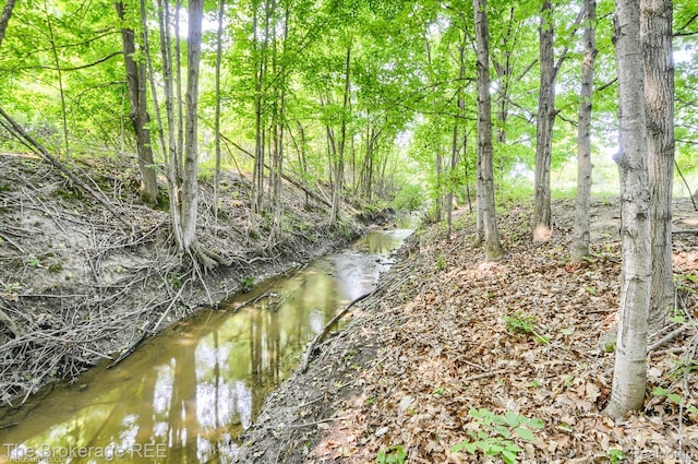 11305 Cook Rd, Gaines, MI 48436 - water view